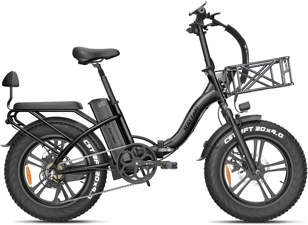 Electric Bike for Adults,750W 48V 13AH Removable Battery