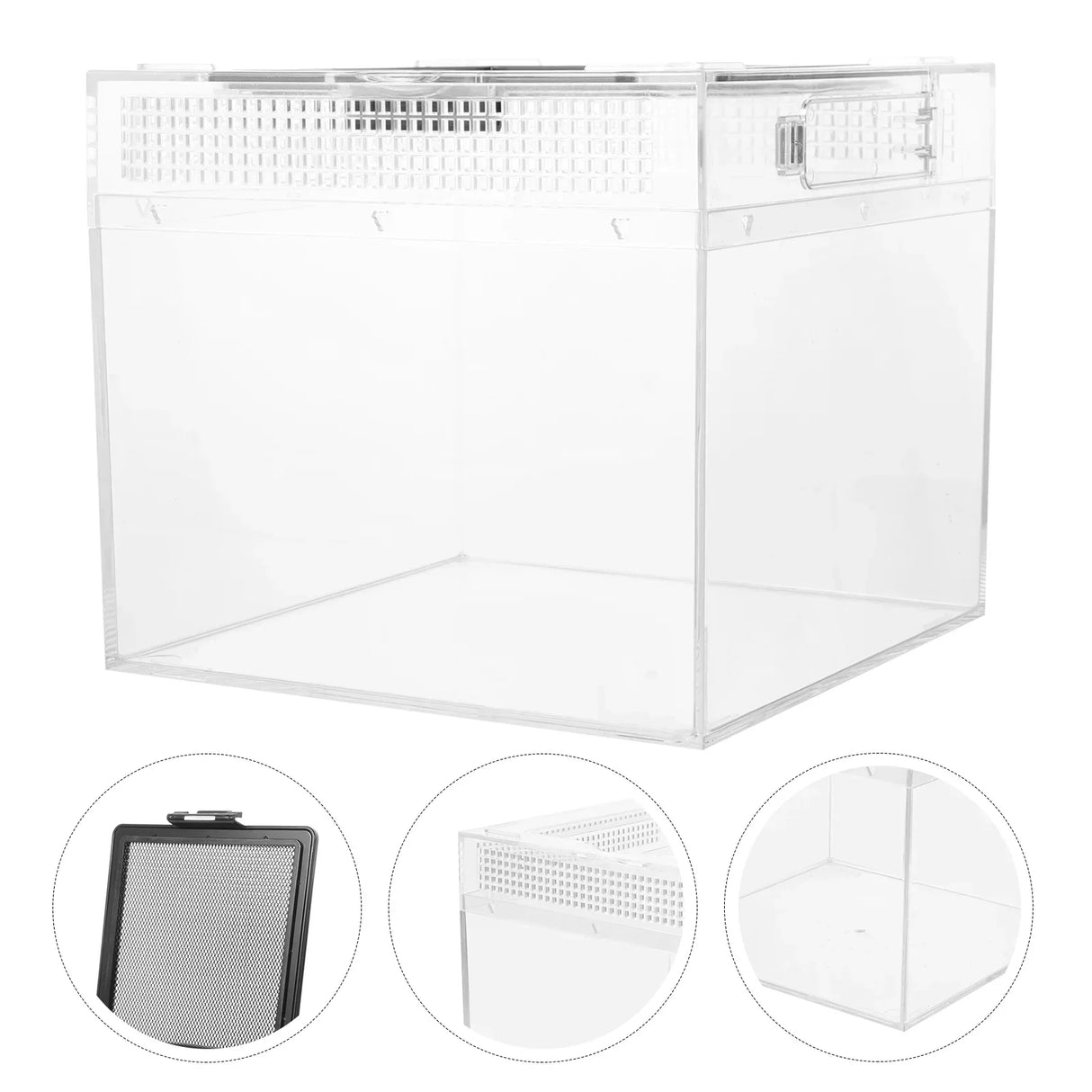 Box Bowl Breeding Enclosure Habitat Cricket Tarantula Cage