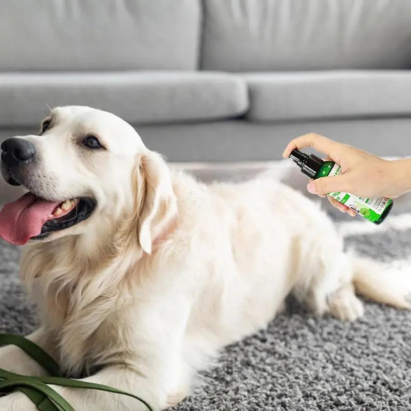 100ml Natural Pet Care Pet Skin Spray Fleas