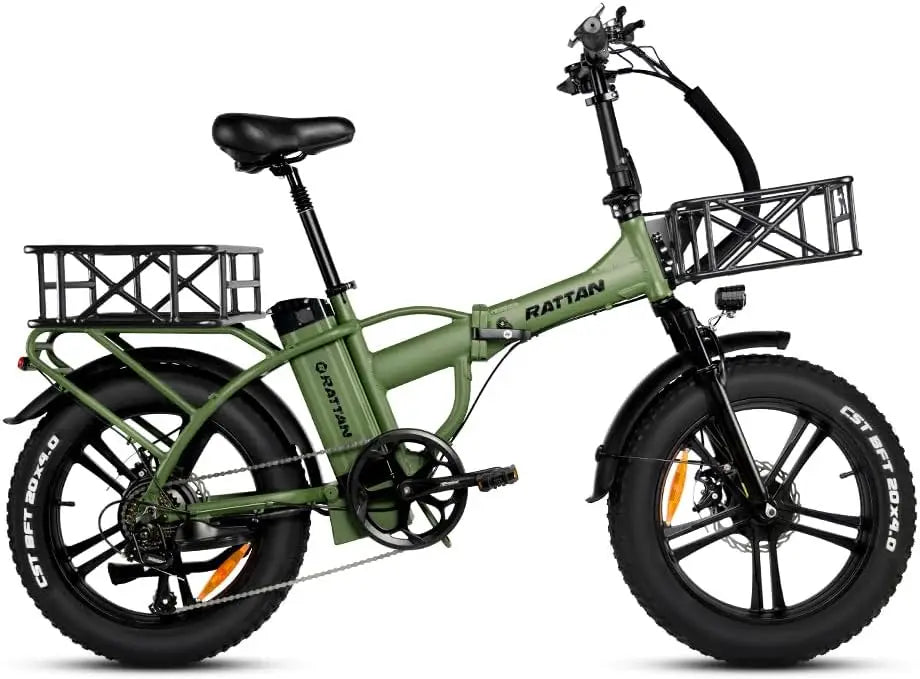 Electric Bike for Adults,750W 48V 13AH Removable Battery