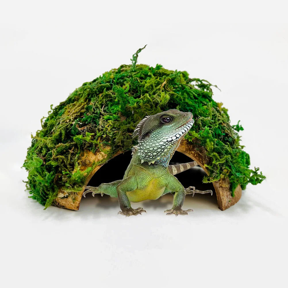 Reptile Hideout House Hamster Turtle Habitat Shelter Terrarium