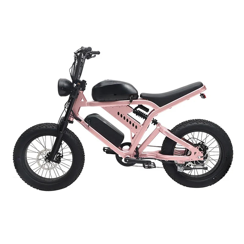 Super Power Electric Motorcycles 48V Electric Bike Motorbike