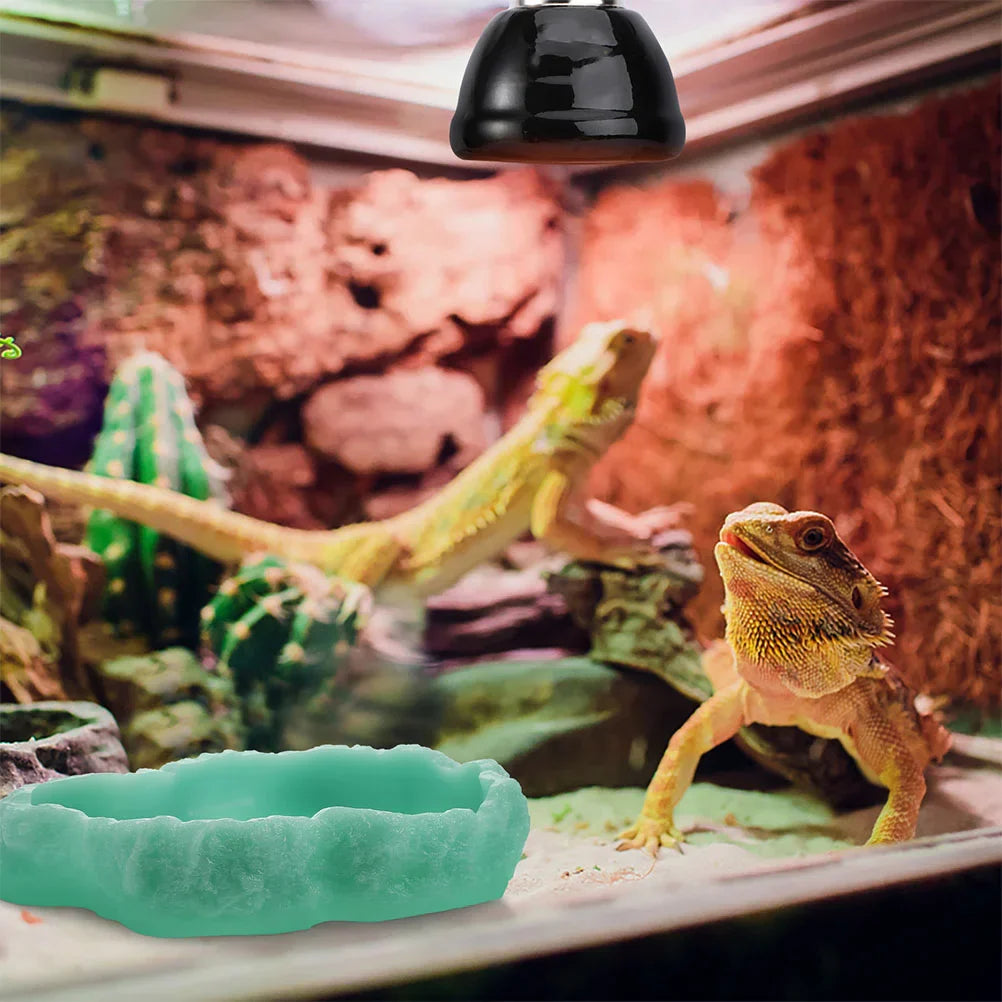 Reptile Feeding Bowl Resin Reptile Water Dish Food