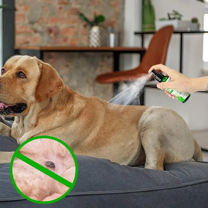 100ml Natural Pet Care Pet Skin Spray Fleas