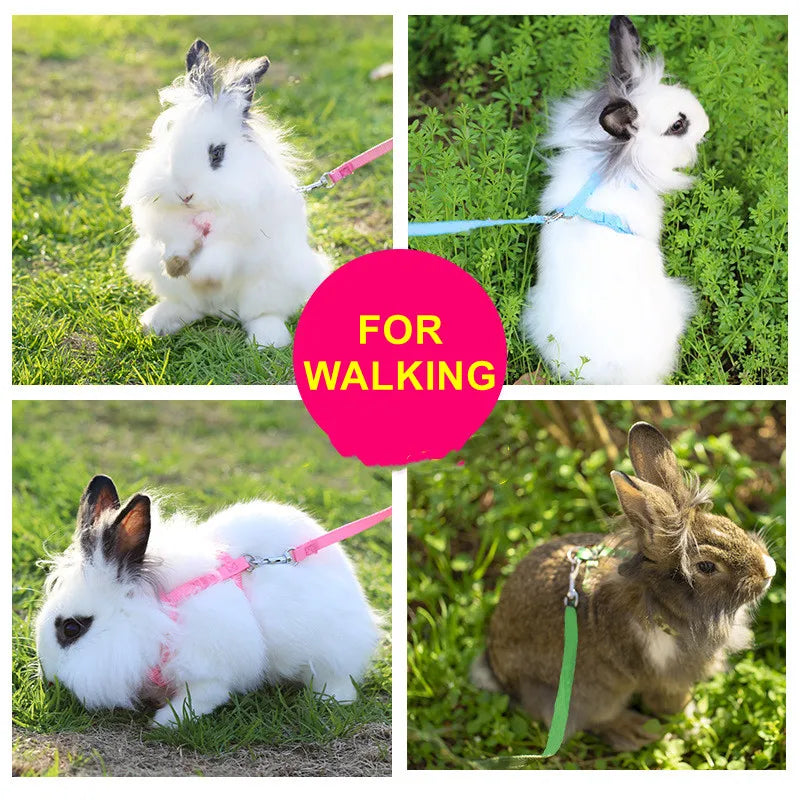 Pet Nylon Rabbit Harness Collar Leash Adjustable Vest