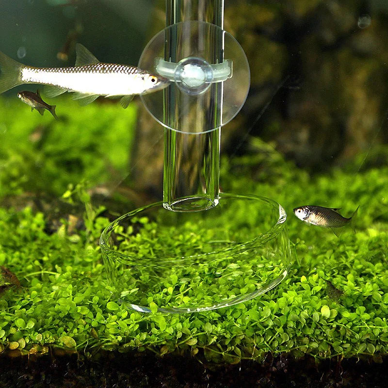 Aquarium Feeding Tube Dish Clear Glass Fish Tank