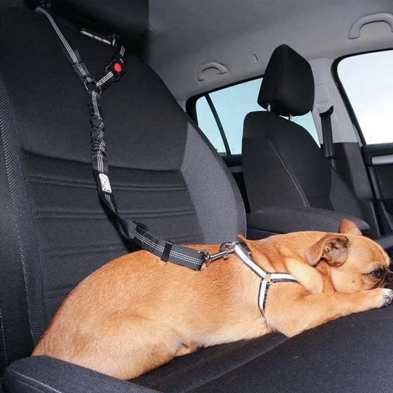 Pet Car Seat Belt 360 Degree Dog Harness
