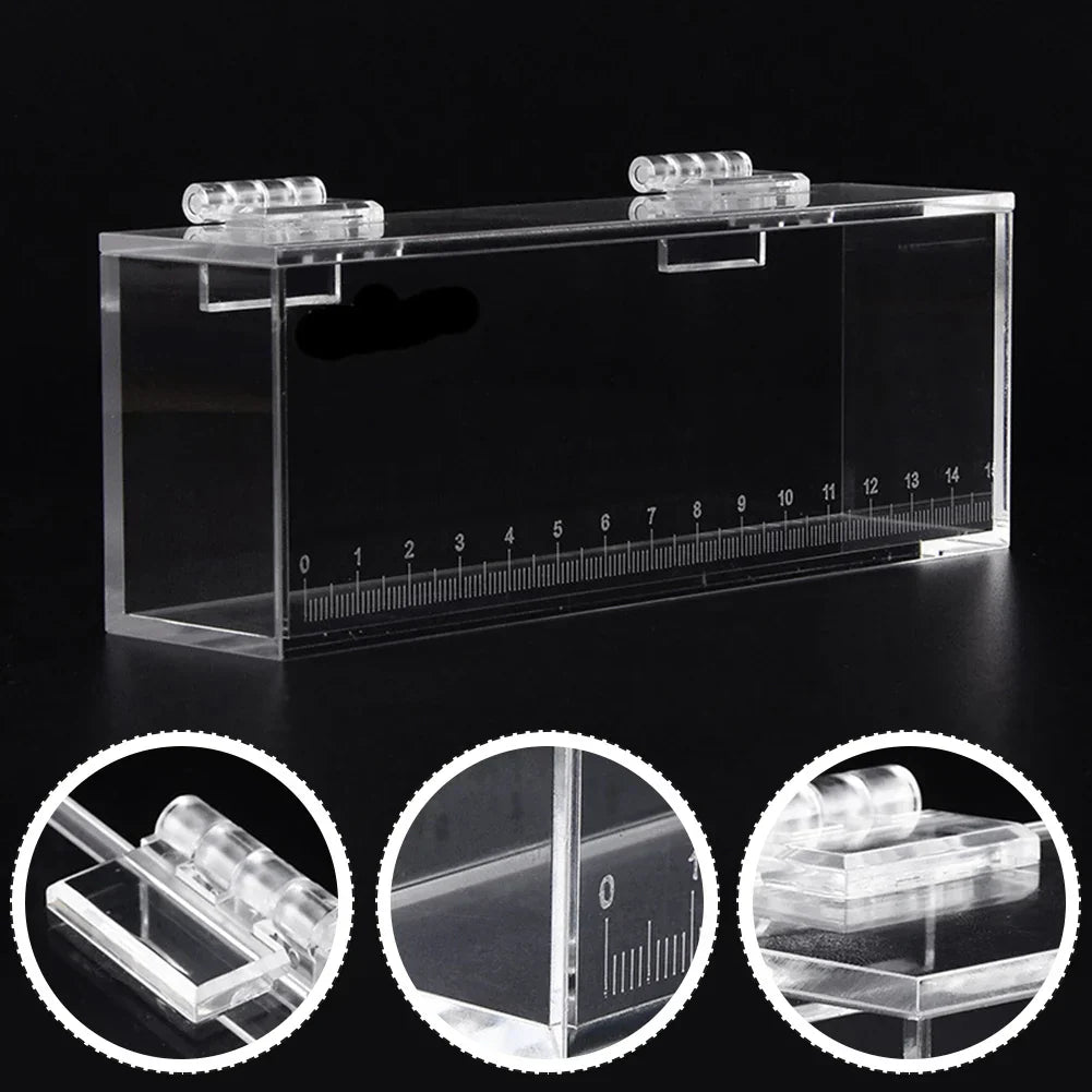 Fish Viewing Box Acrylic Material Isolation Box Betta
