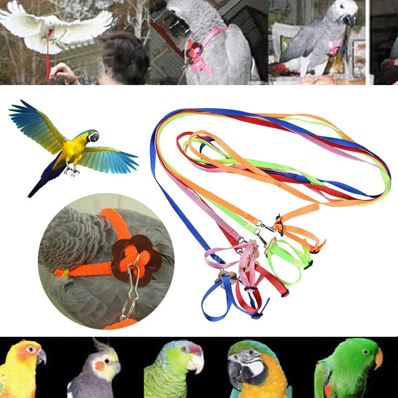 Adjustable Pet Parrot Traction Strap Anti-bite Training Rope