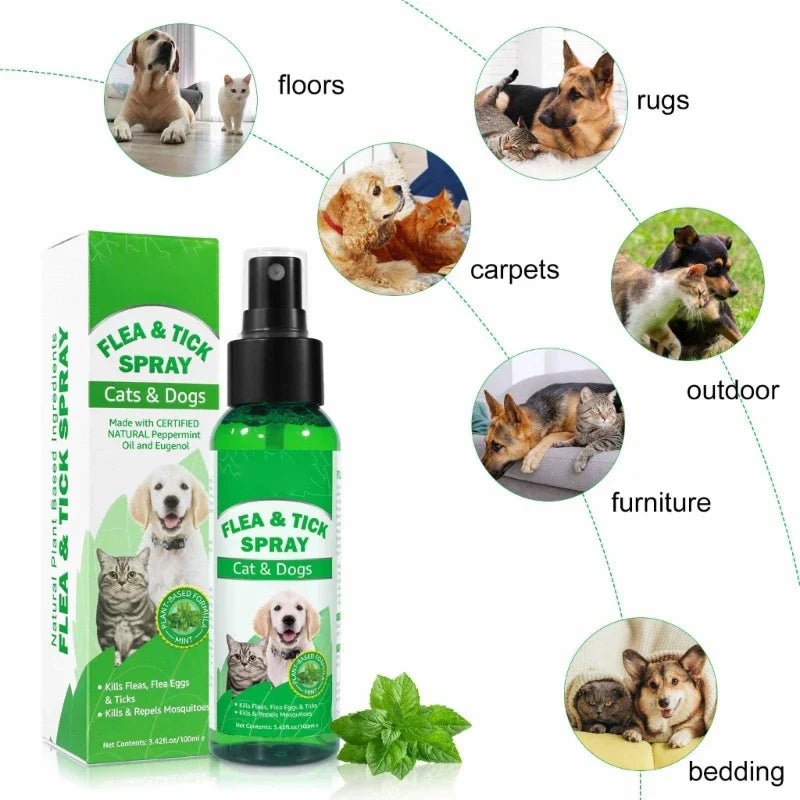 Fleas for Cats Powerful Prevention and Control for