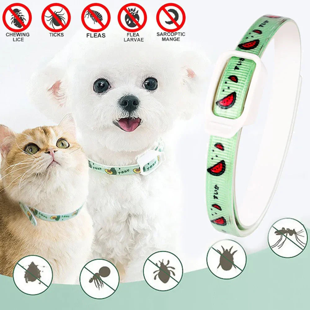 Dog Anti Flea and Tick Cat Collar 6