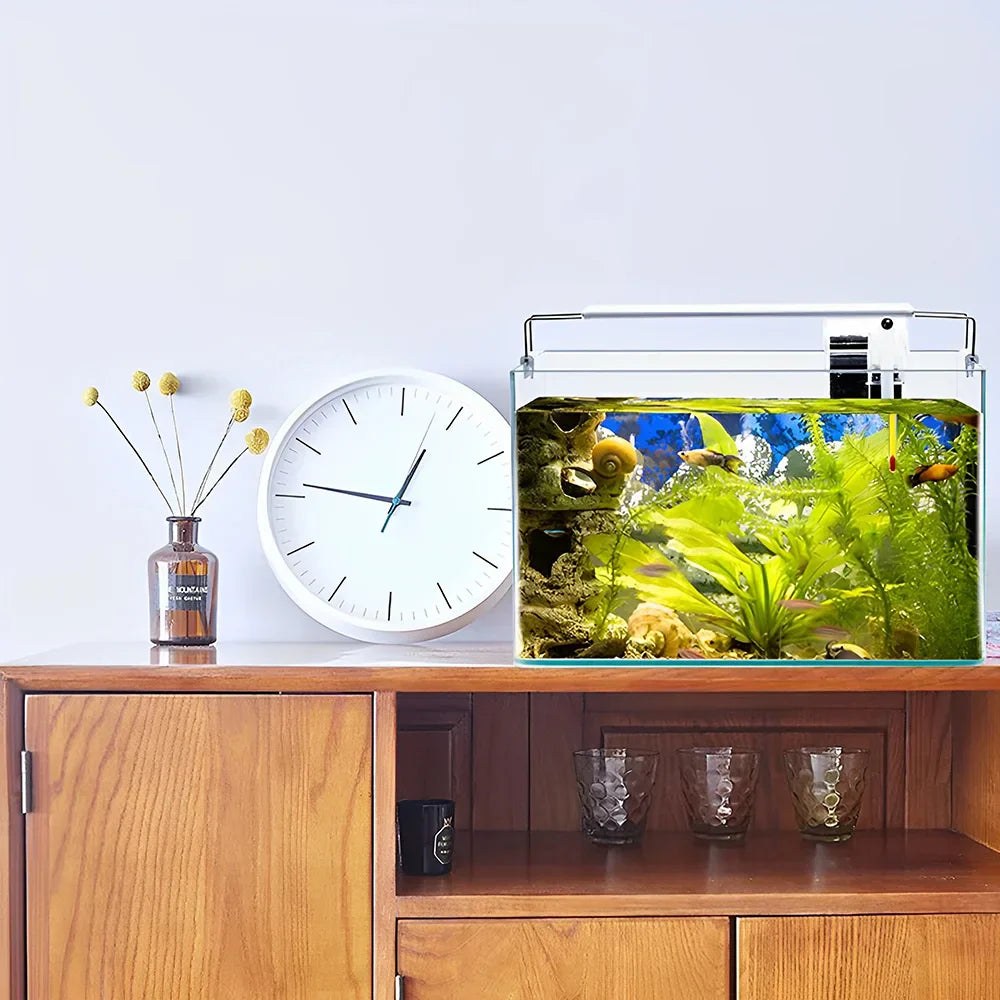 Fish Tank Transparent Glass Rectangular Aquarium Small And