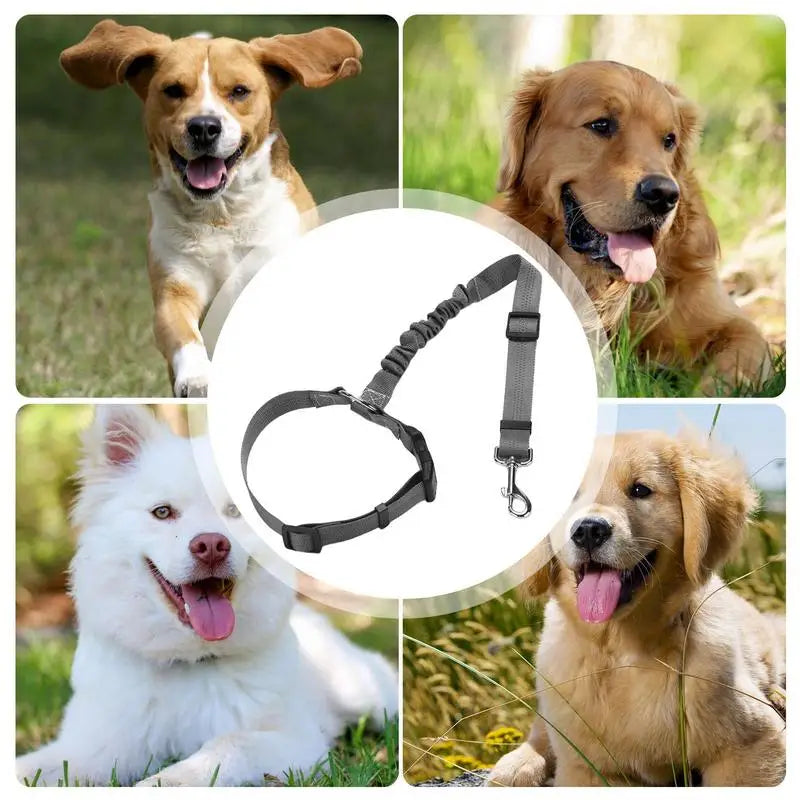 Pet Car Seat Belt 360 Degree Dog Harness