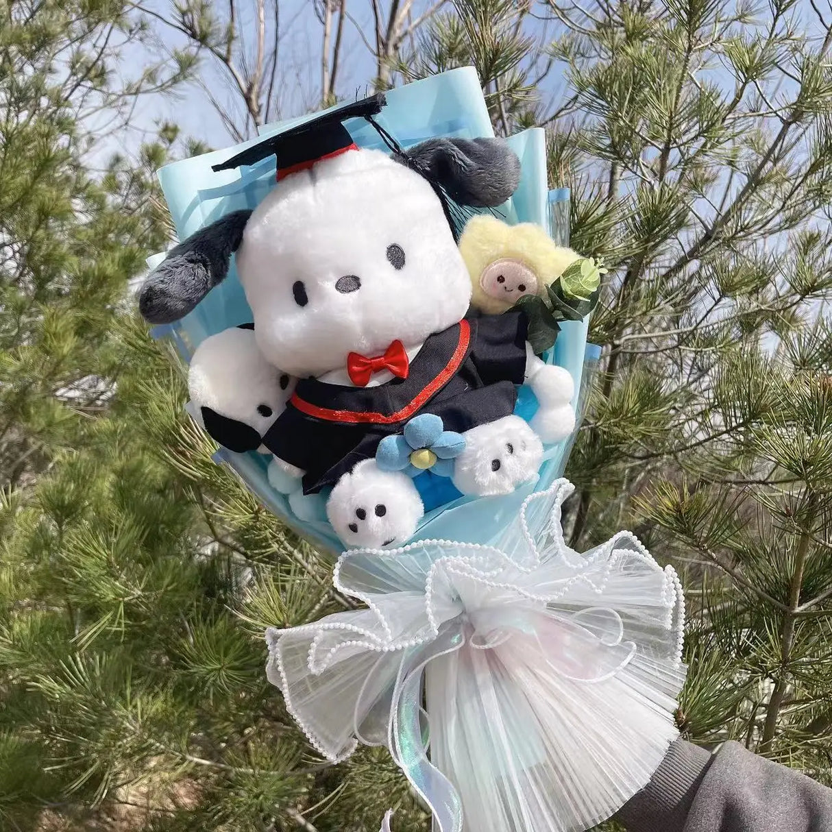 Cartoon My Melody Kuromi Cinnamoroll With graduation hats