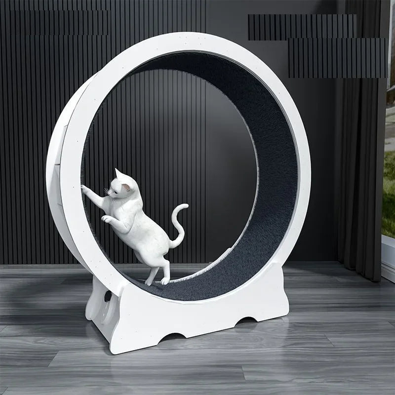 Interactive Cat Running Wheel for Indoor Exercise and