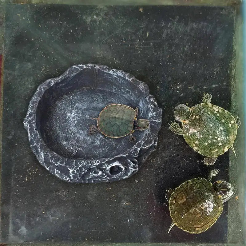 Reptile Water Dish Pet Feeding Bowl Resin Amphibian