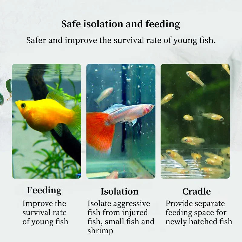 Acrylic Fish Tank Incubator Aquarium Breeder Suspended Fish