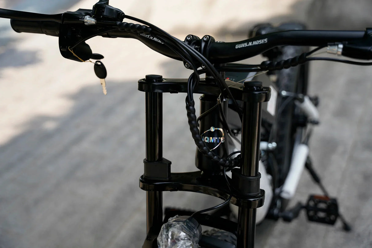 FEIVOS W3 1000W 48V snow tires Electric bicycle