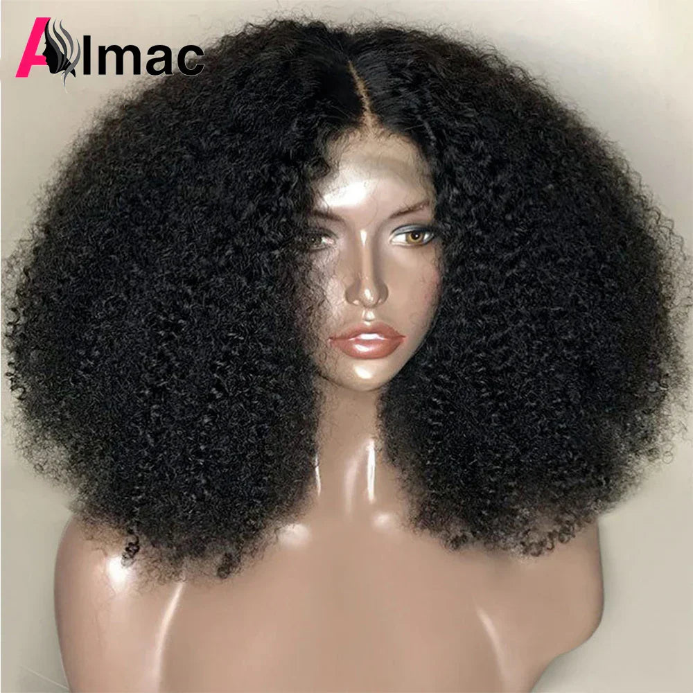 250% Density Afro Kinky Curly Human Hair Wigs