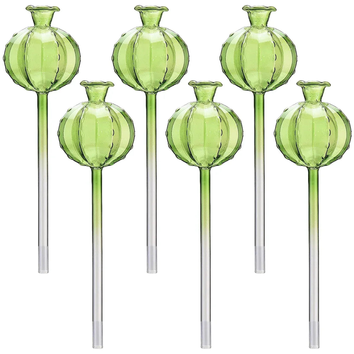 3/6Pcs Plant Self Watering Globes Automatic Plant Water