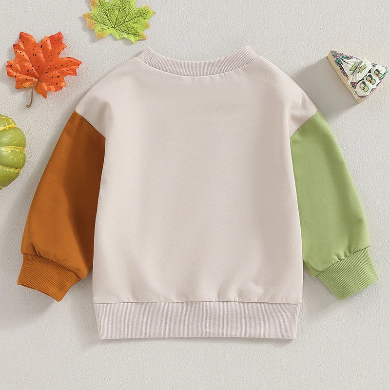 2023-07-21 Lioraitiin 6M-4T Kids Boys Sweatshirt Long Sleeve