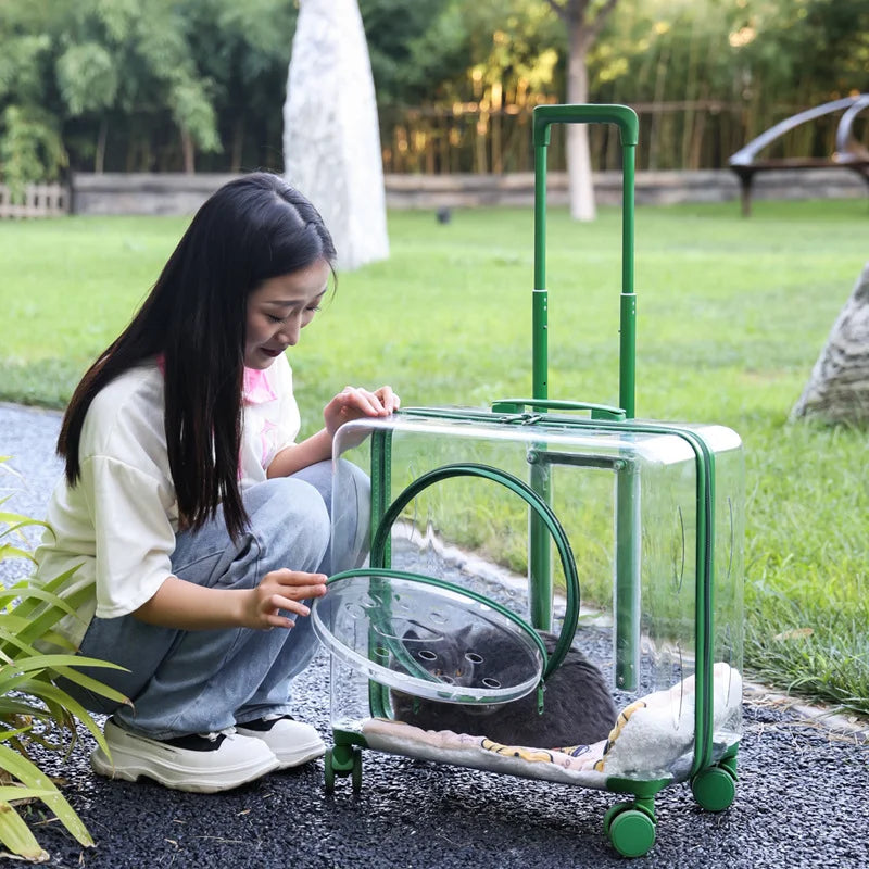 Stroller Kitten Cat Carriers Crate Backpack Transporter Cat