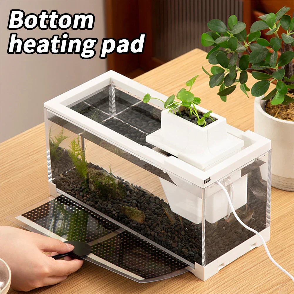 1PC Fish Tiny Fish Tank Office Small Betta