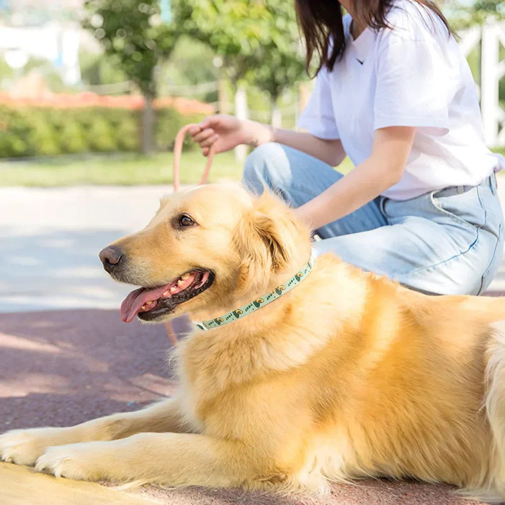 Dog Anti Flea and Tick Cat Collar 6