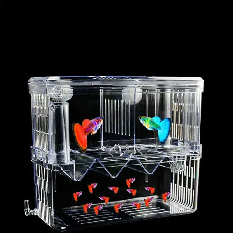 Double-Deck Clear Fish Breeding Isolation Box Aquarium Breeder