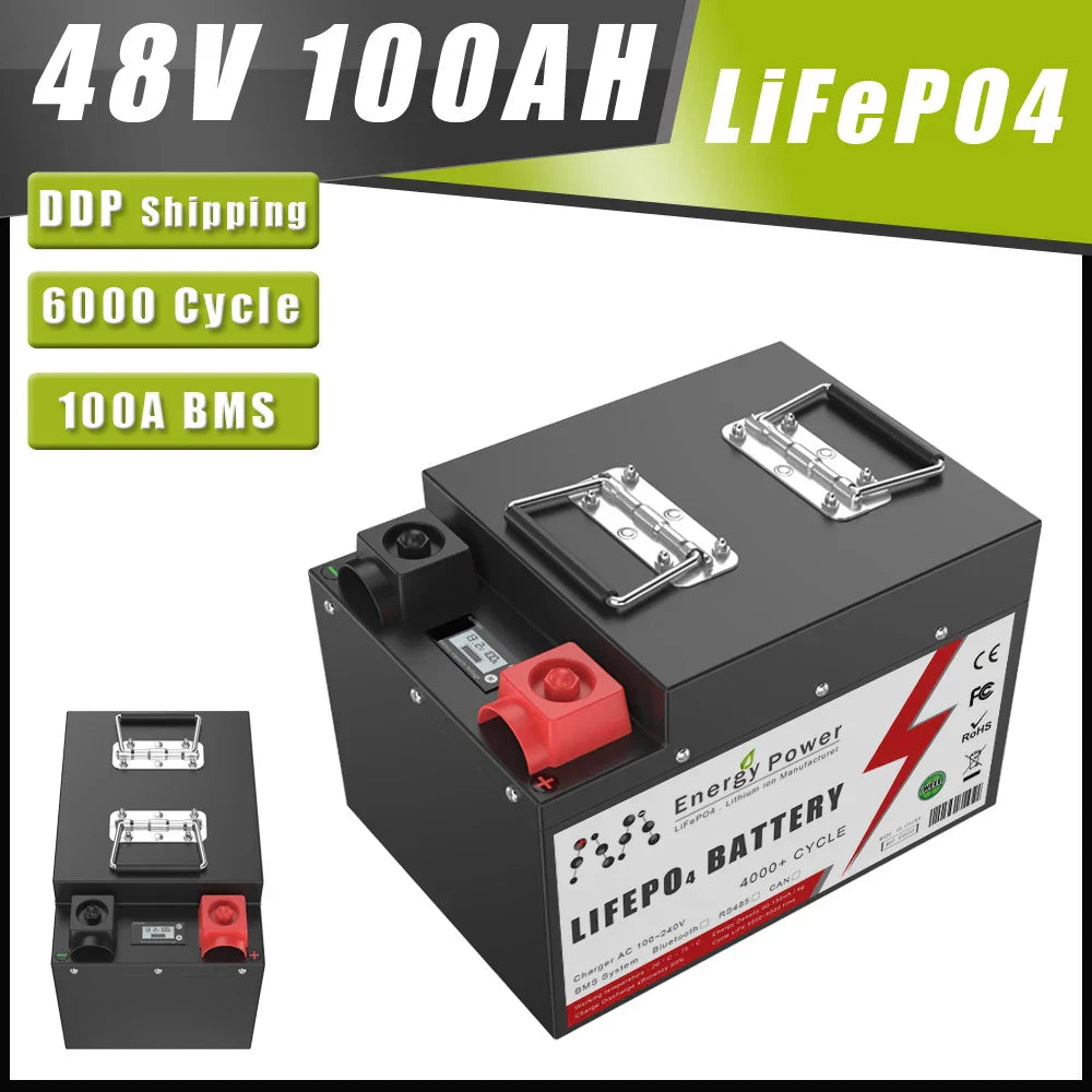 48V 40AH 100AH LiFePO4 Battery Pack Built-in 2000W