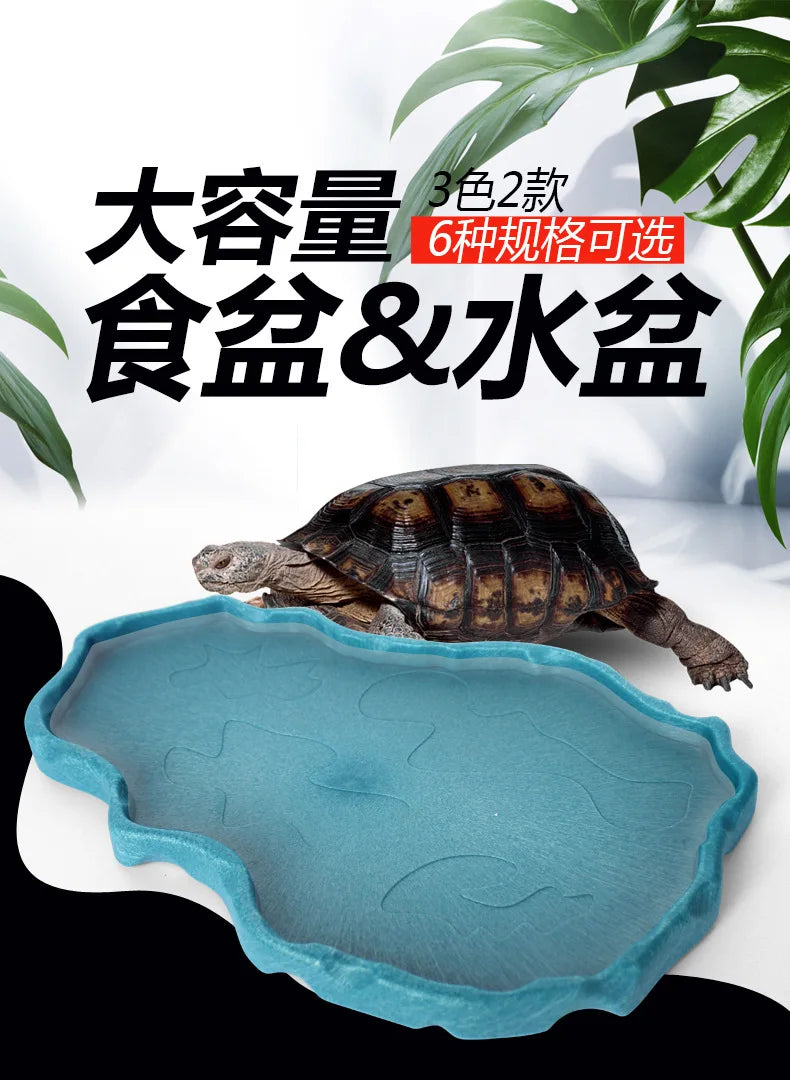 Reptile Bowls Terrarium Feeding Worm Dish Reptile Mealworm