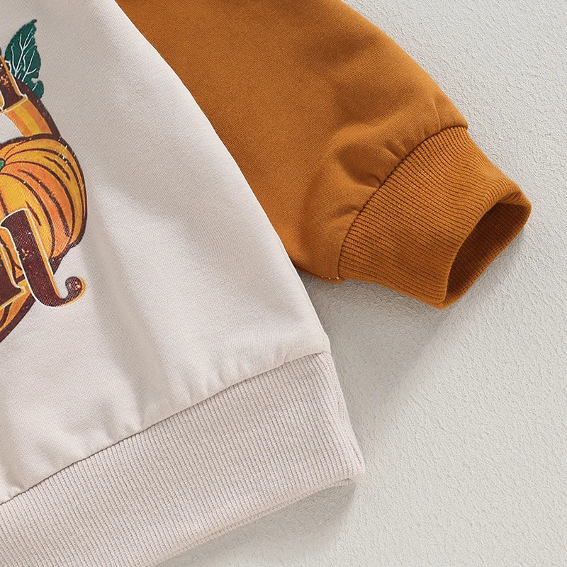 2023-07-21 Lioraitiin 6M-4T Kids Boys Sweatshirt Long Sleeve