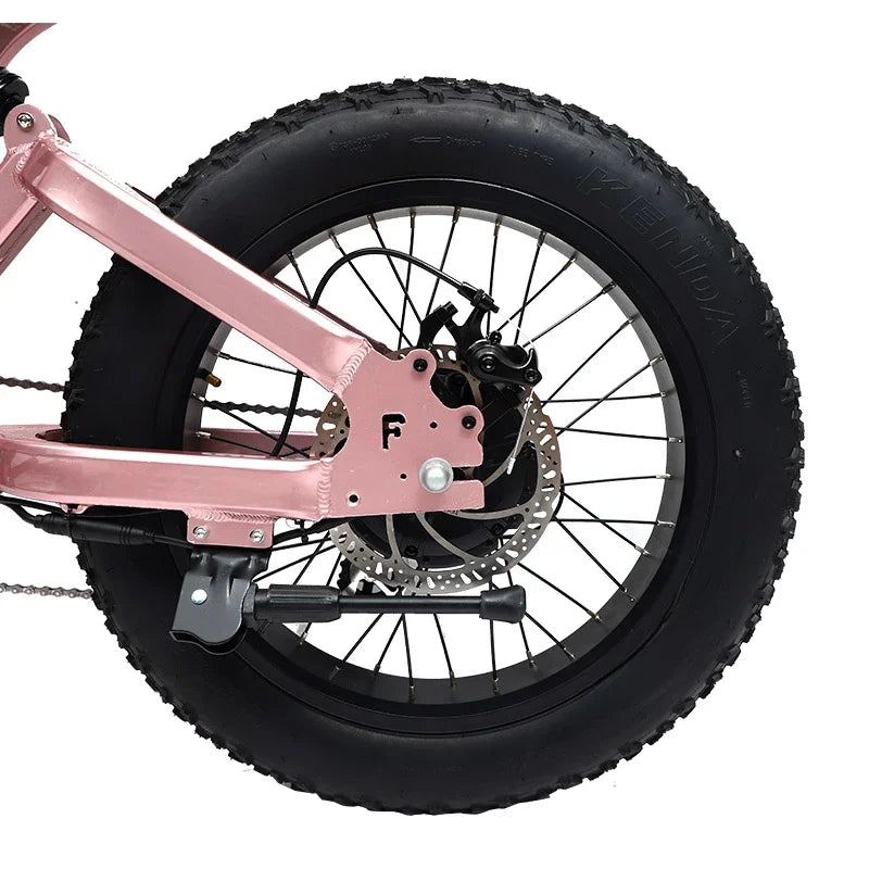 Super Power Electric Motorcycles 48V Electric Bike Motorbike
