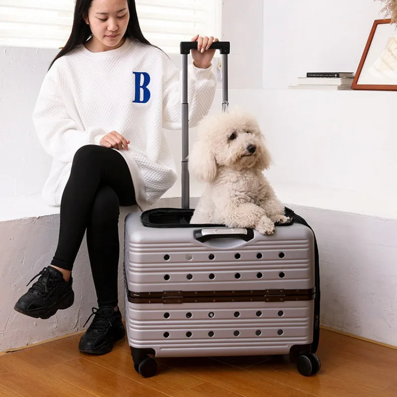 Pet Trolley Bag Case Carrier for Cats Expands