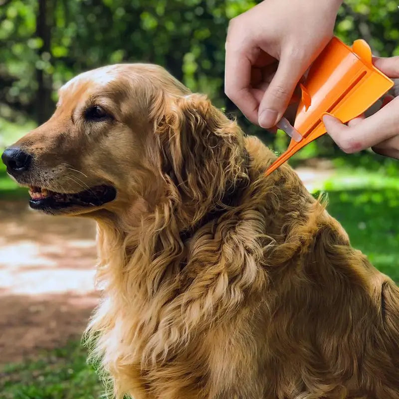 Flea Drops For Cats Triangle Assistance Tool Help