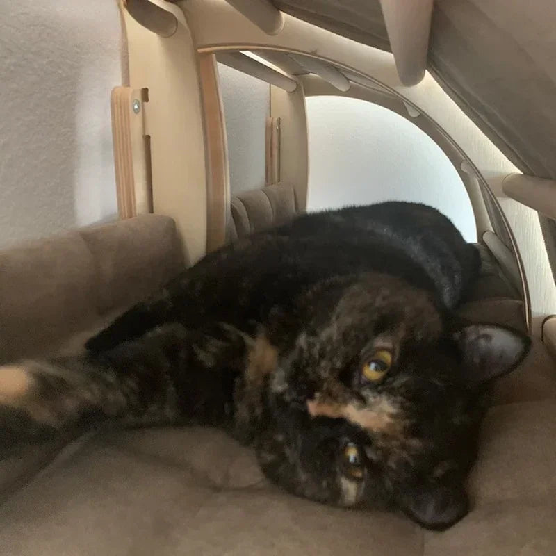 Wood Cat Condo Tower Cat Climbing Tree Tower