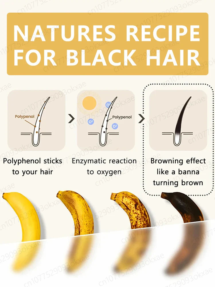 Gray Hair Killer - Seven Days to Solve