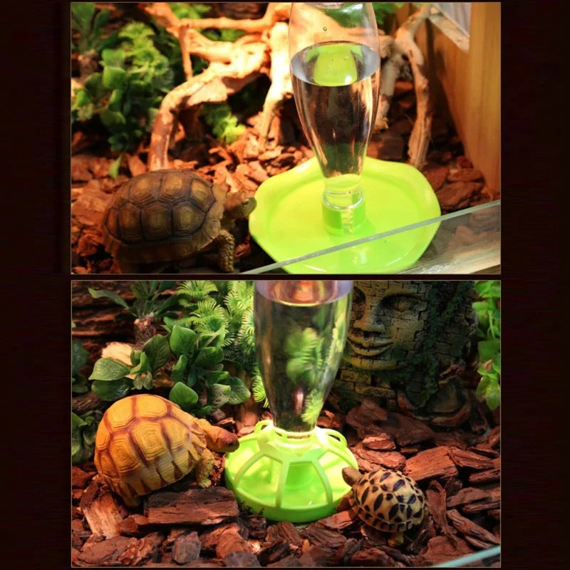 Water Bowl for Bearded-Dragons Lizards Geckos for Terrarium