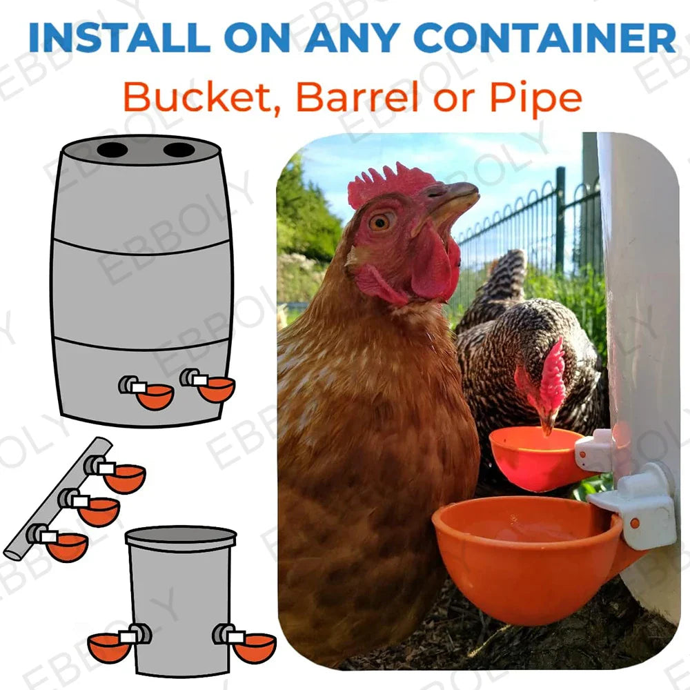 12/20/30PCS Automatic Chicken Water Feeder Drinking Cups Poultry