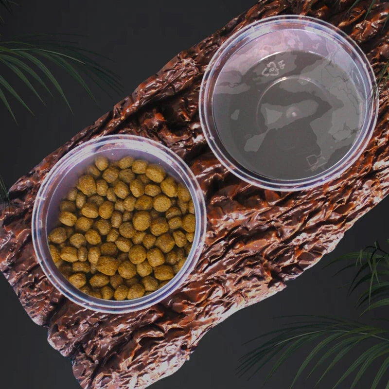 Bearded Dragon Dish Feeding Bowl for Reptiles Terrarium