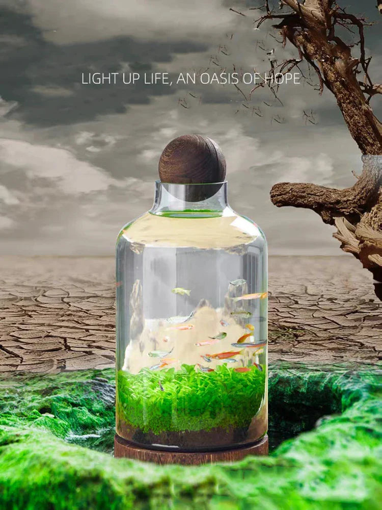 Ecological Bottle Micro Landscape Glass Ecological Fish Tank