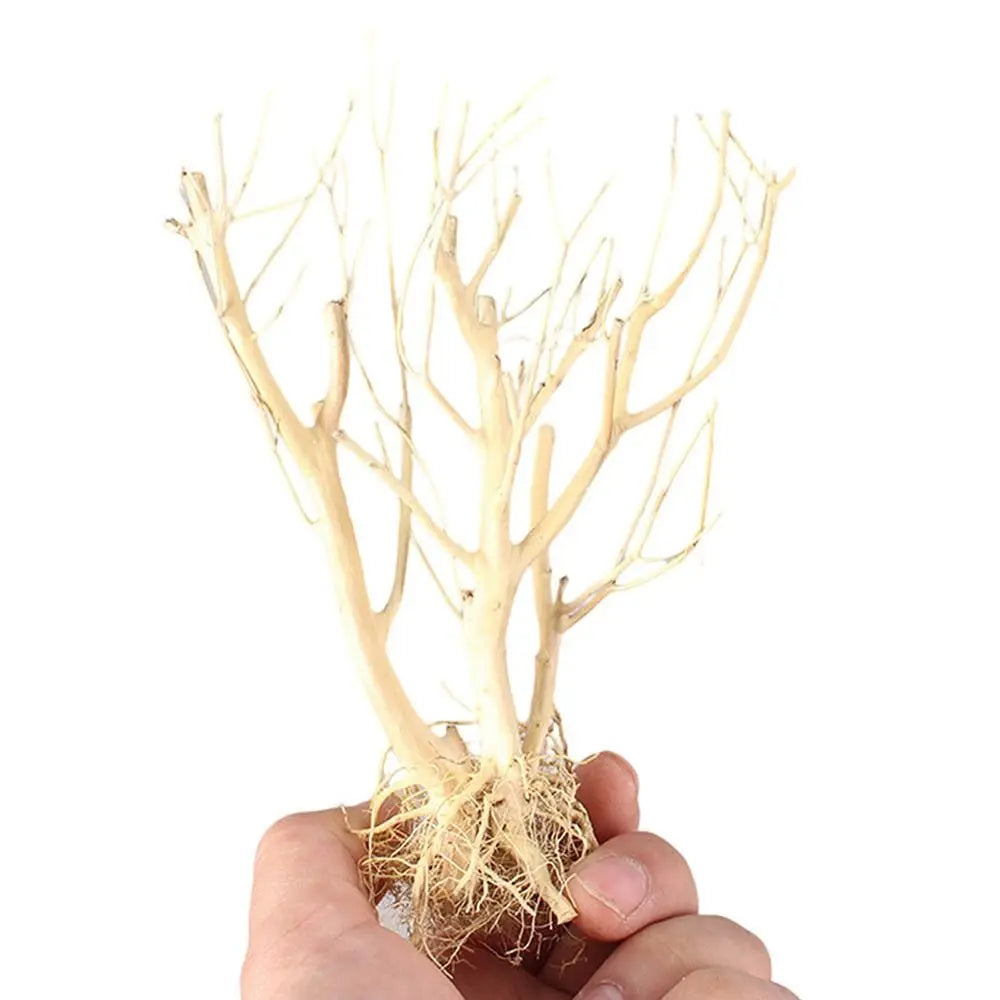 Aquarium Driftwood Natural Wooden Tree Branch Fish Tank