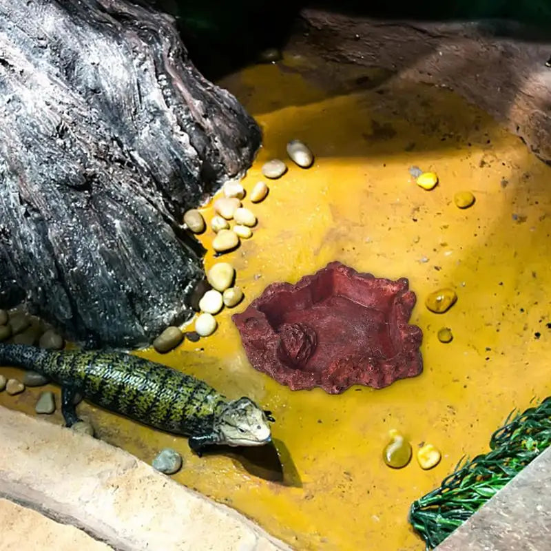 Reptile Water Dish Resin Lizard Water Bowl Amphibian