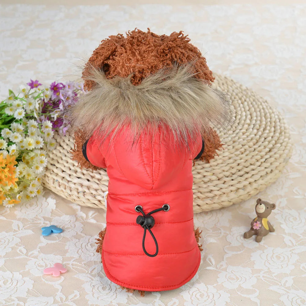 Dog Winter Coat Windproof Small Dog Hoodie Jacket