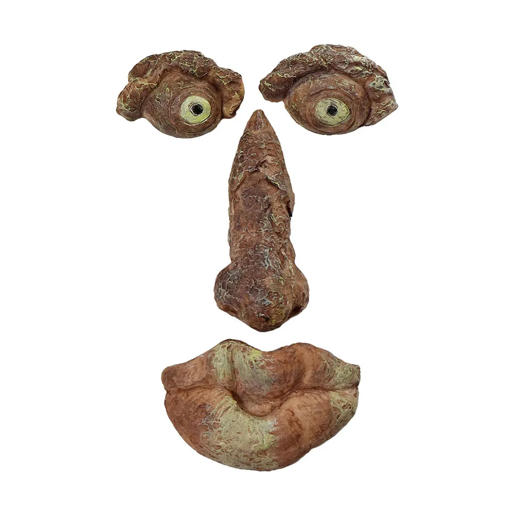 Bark Ghost Face Facial Features Old Man Tree