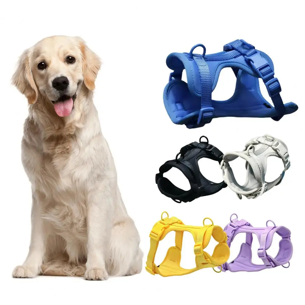 Chest Harness Leash Micro Elastic Easy to Clean