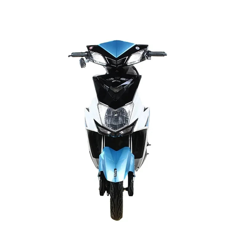 Hot Selling 1000w 60V Leader Two Wheels Adult
