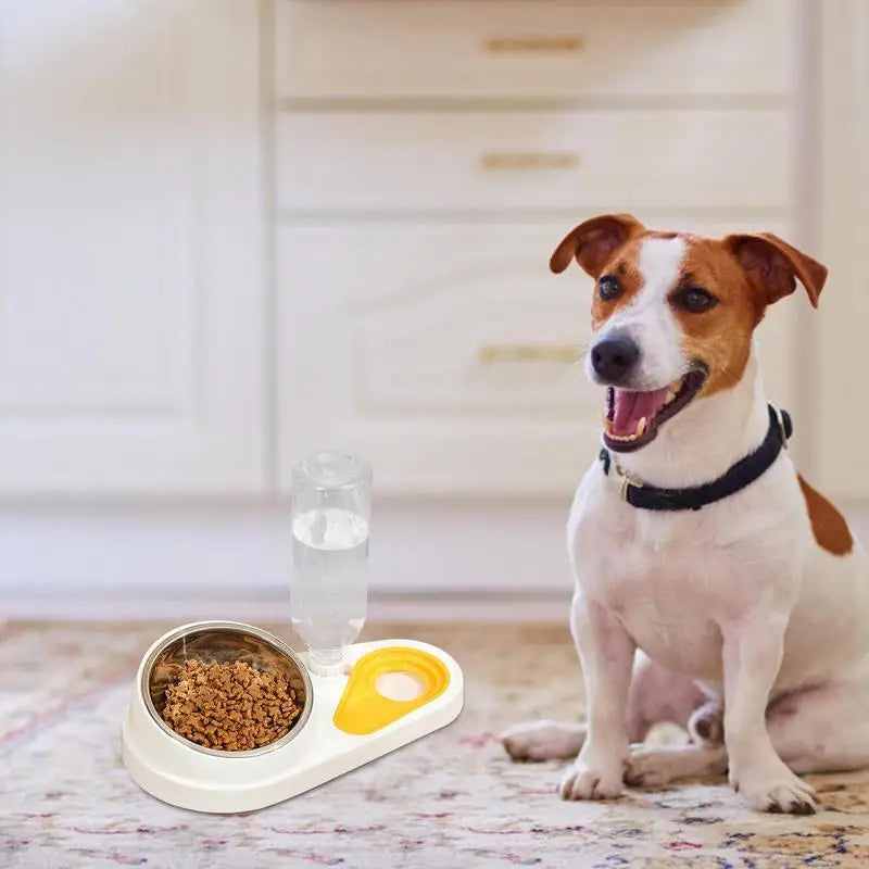 Tilted Cat Food Bowl Set Automatic Pet Water