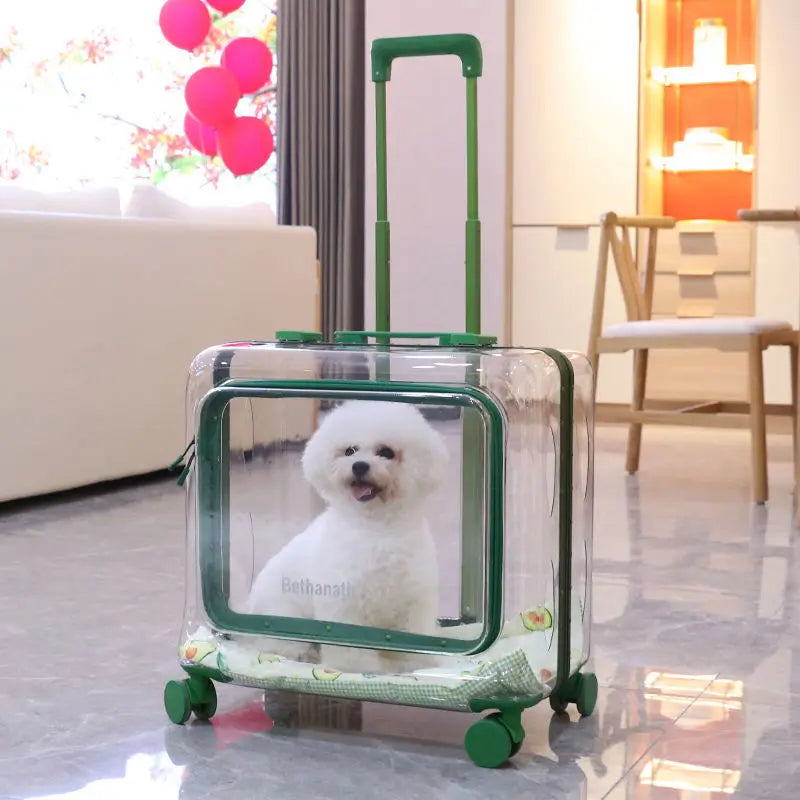 Lightweight Transparent Pet Trolley Case, Beauty Case, Professional