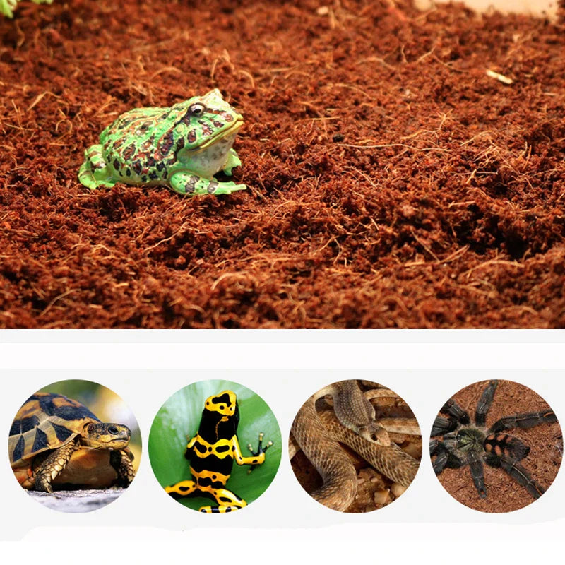 Tortoise Reptile Bedding Soil 650g Reptile Coconut Soil